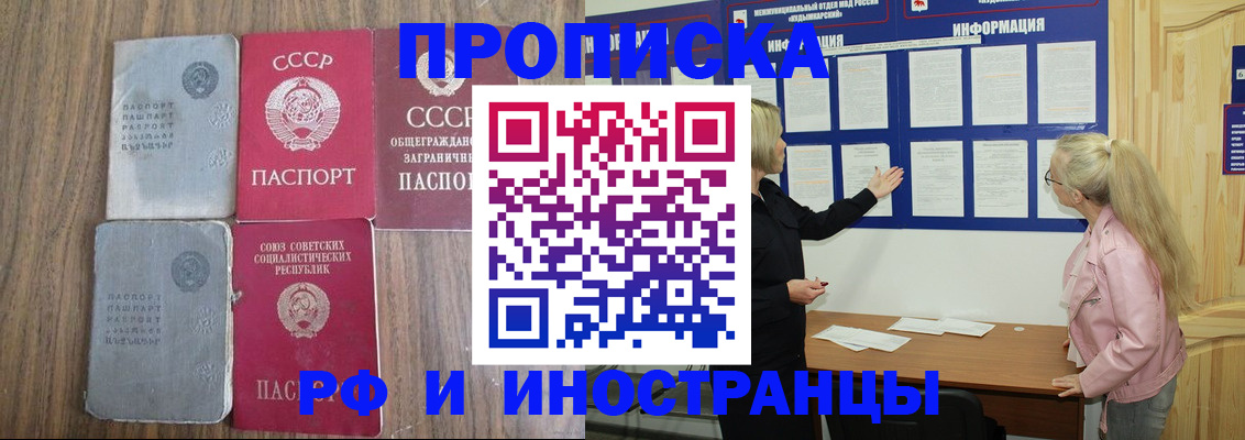 прописка для школы в Апатитах